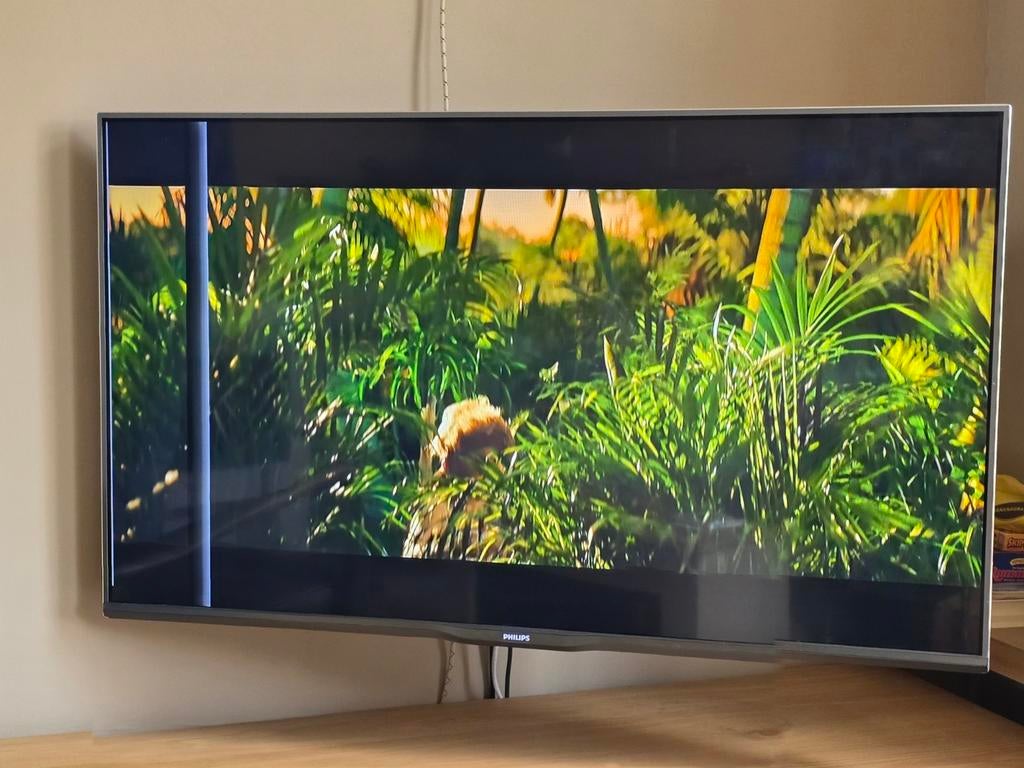 Philips 42PFK7109/12. Vertikale streep links., Philips, Verzenden, 50 Hz, 100 cm of meer