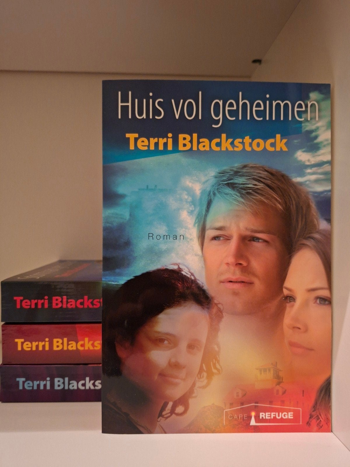 Terri Blackstock - Huis vol geheimen, Boeken, Ophalen of Verzenden, Zo goed als nieuw, Terri Blackstock, Amerika