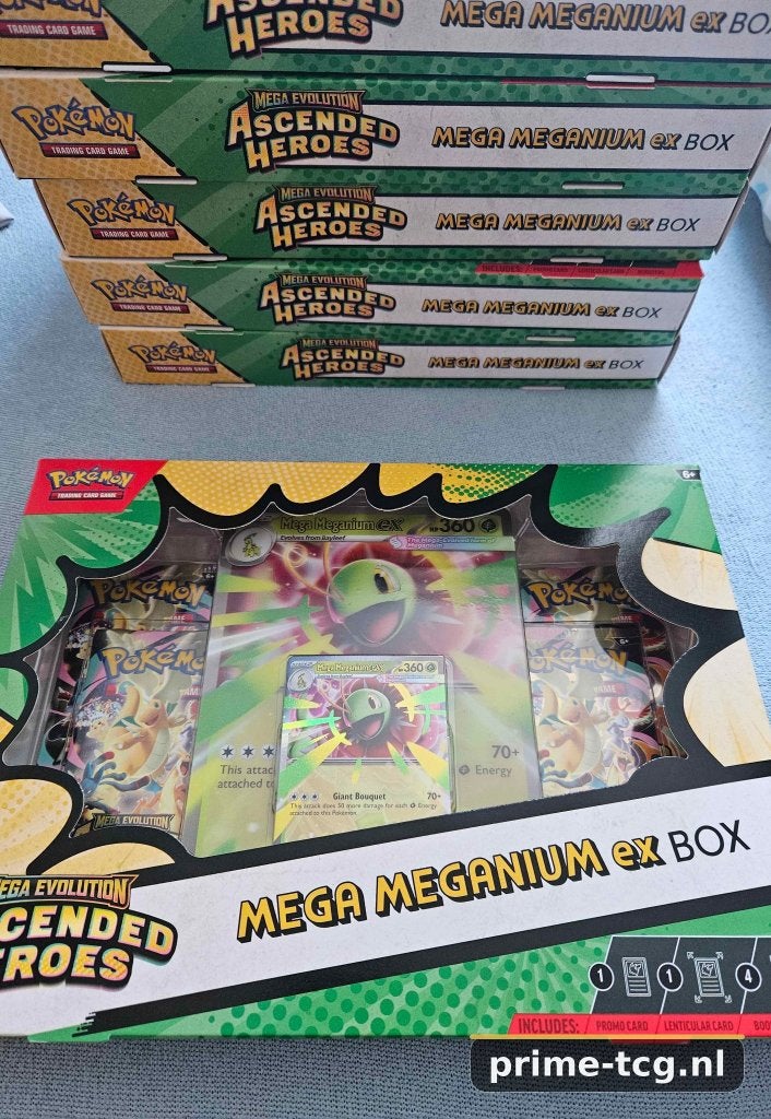 Pokémon Ascended Heroes – Mega Meganium ex Box, Ophalen, Nieuw, Boosterbox, Foil