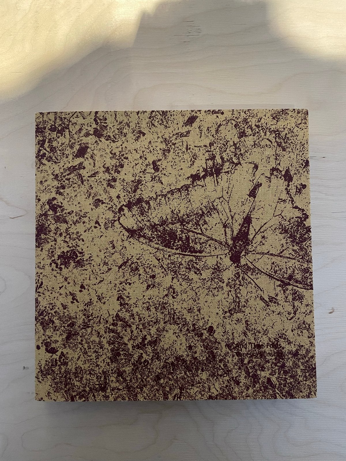 Vanessa Winship – And Time Folds (Fotoboek), Ophalen of Verzenden, Zo goed als nieuw, Fotografen