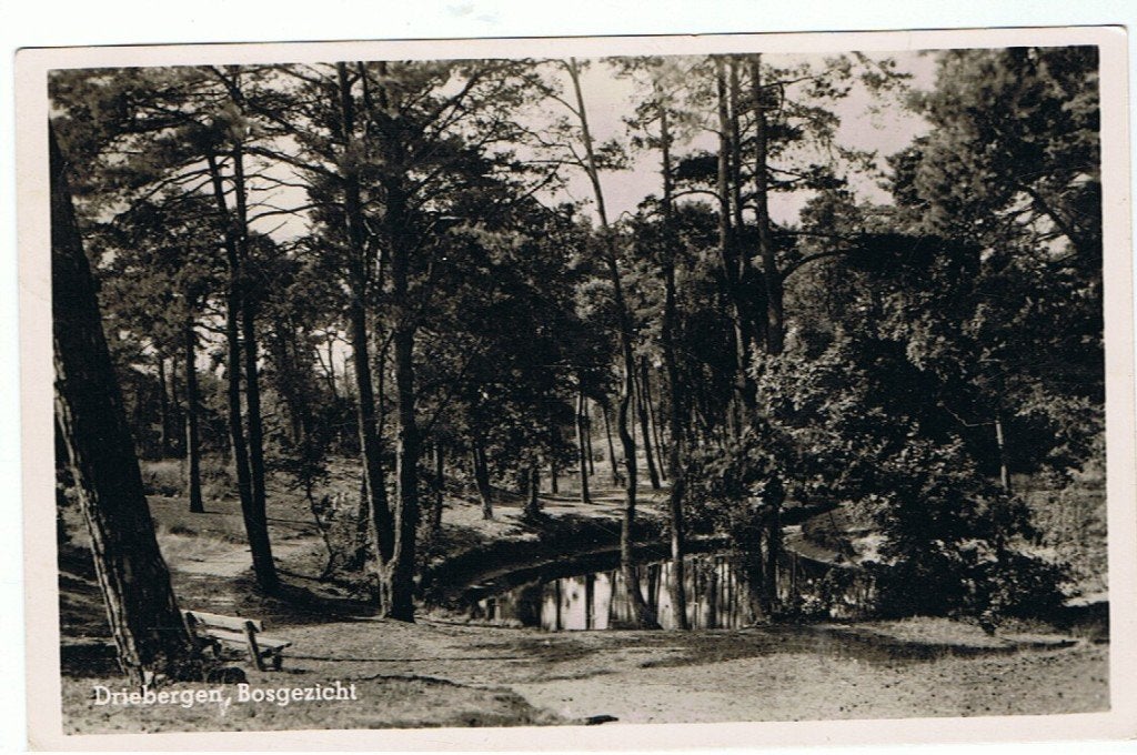 Ansichtkaarten Driebergen, Ophalen of Verzenden, Gelopen, Utrecht