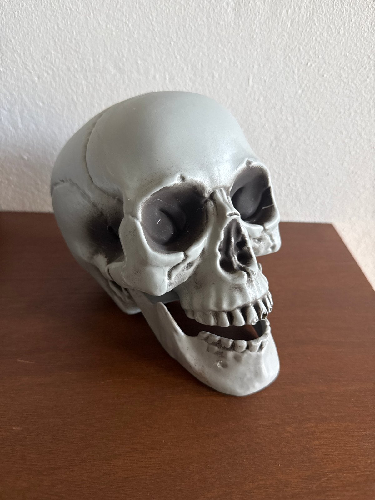 Decoratieve plastic schedel - Perfect voor Halloween!, Ophalen of Verzenden, Zo goed als nieuw