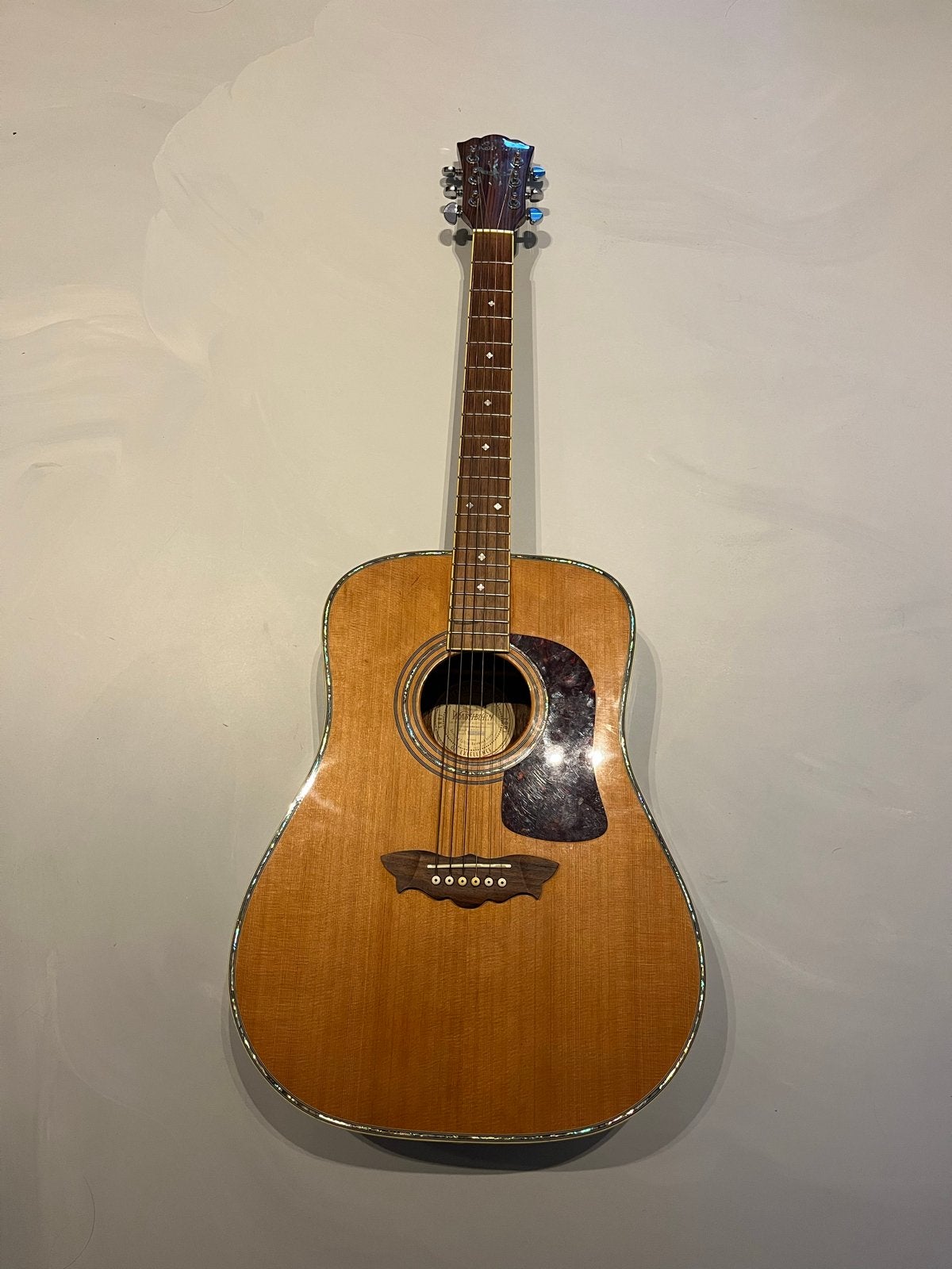Washburn WD-41S "Timbrewood" 120th Anniversary Gitaar, Ophalen of Verzenden, Gebruikt, Western- of Steelstringgitaar