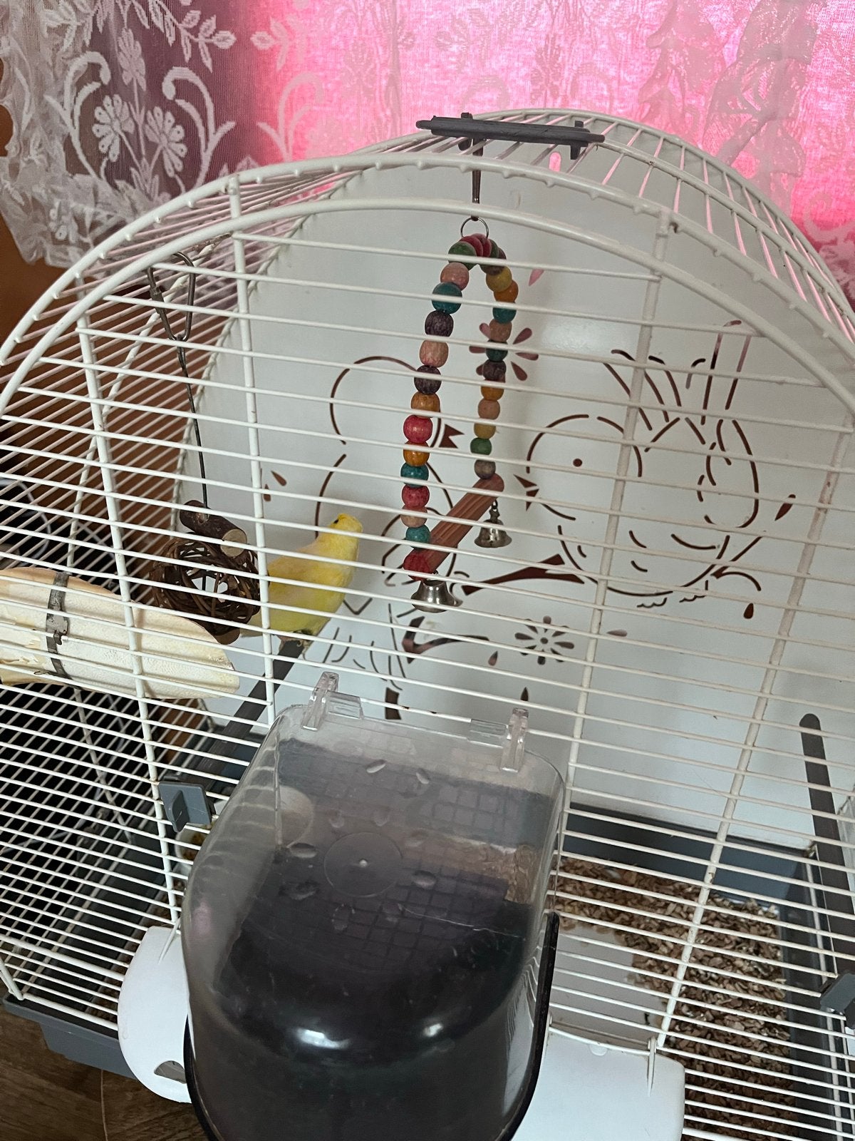 Kanarie met toebehoren, Dieren en Toebehoren, Vogels | Hokken en Kooien, Ophalen, Zo goed als nieuw, Metaal, Vogelkooi