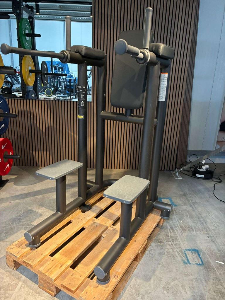 Technogym Leg Raise / Dip Bench, Niet ingevuld, Gebruikt, Overige typen, Niet ingevuld