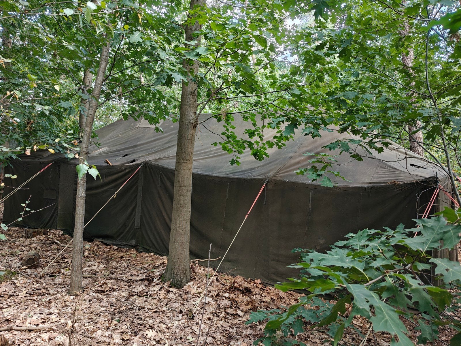 legertent 5  10 m – goede palenset, slecht canvas, Caravans en Kamperen, Tenten, Ophalen, Gebruikt, Meer dan 6