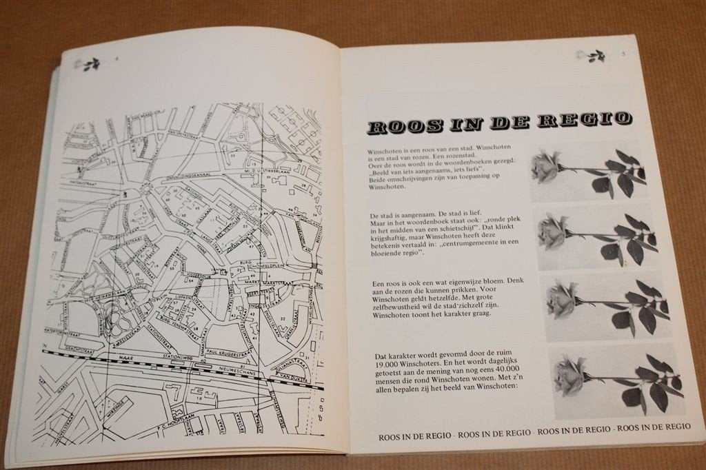 Roos in de Regio — Fotoboek Winschoten — Hensema [1975], Ophalen of Verzenden, Gelezen