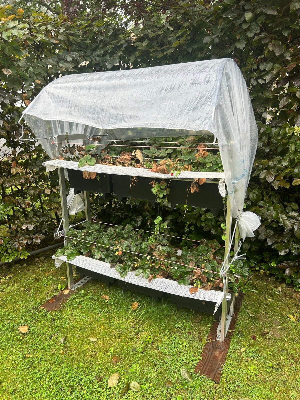 Aardbeienbakken in aluminium stellage - Z.G.A.N., Tuin en Terras, Ophalen, Zo goed als nieuw, Metaal, Balkon