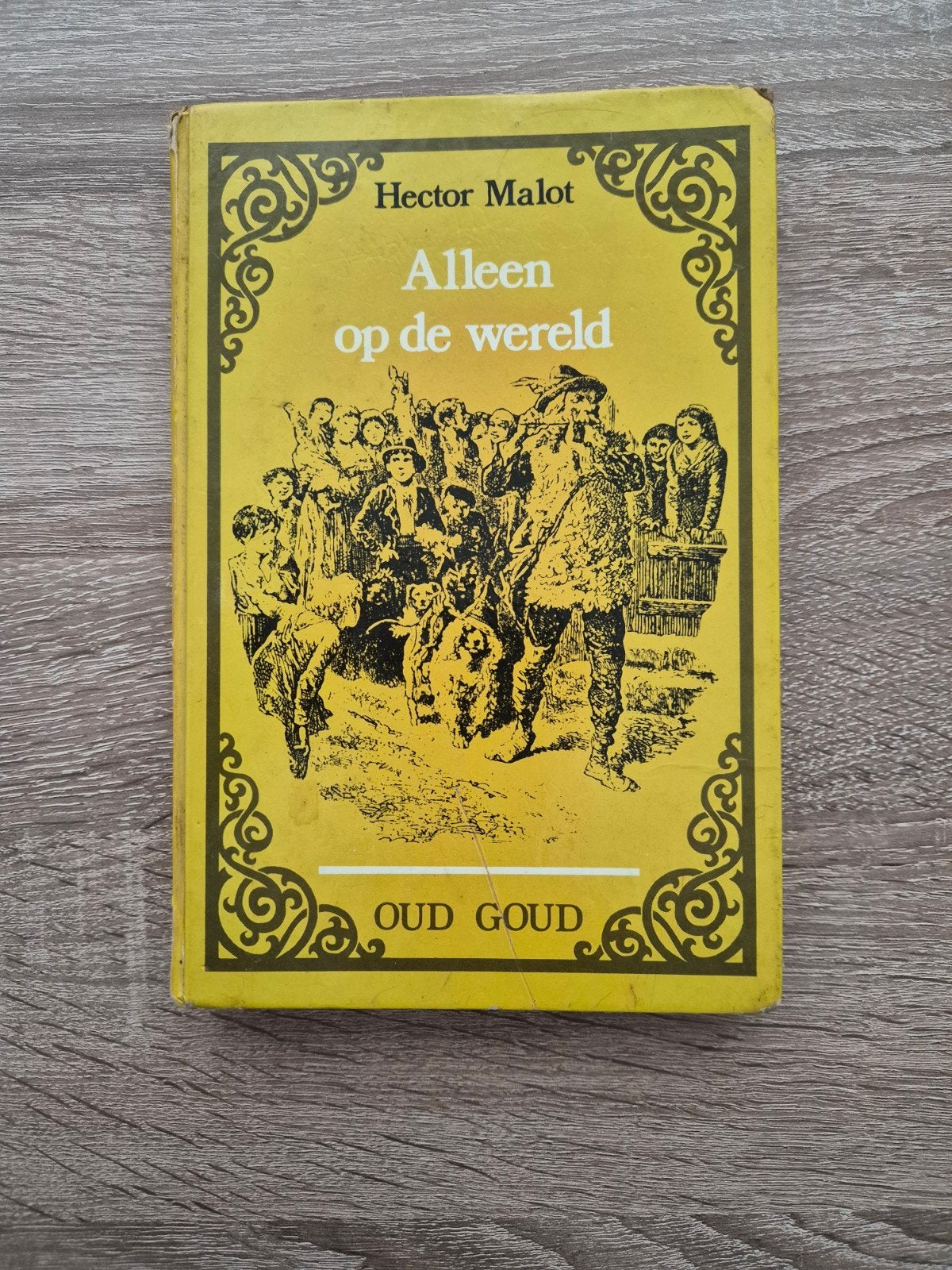 Te koop vintage boek uit 1977 Alleen op de wereld, Boeken, Ophalen of Verzenden, Gelezen