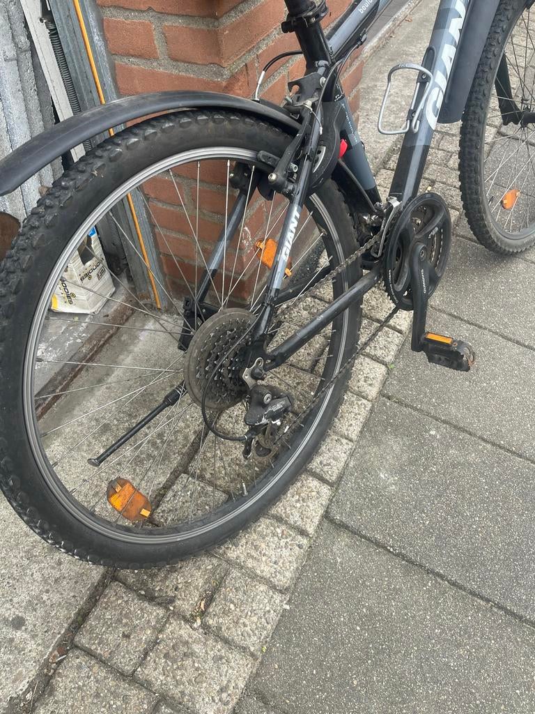 Giant Fiets - 8 versnellingen - Maat S, Minder dan 10 versnellingen, 26 inch, Velgrem, 49 tot 53 cm