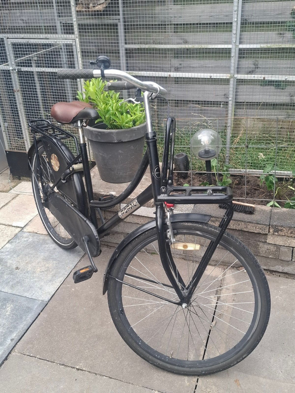 hele nette weduw fiets 26 inch, Ophalen, Terugtraprem, 47 tot 50 cm, Popal Daily Dutch