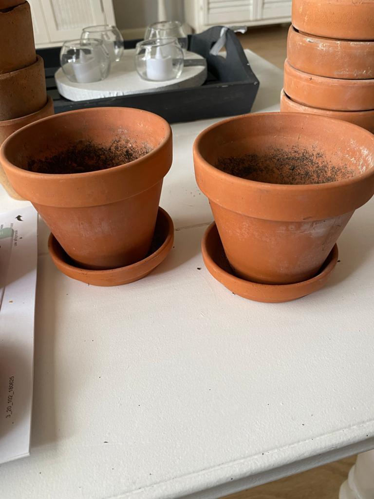 12 Terracotta Bloempotjes met Schoteltjes, Tuin en Terras, Bloempotten, Ophalen, Gebruikt, Rond, Binnen