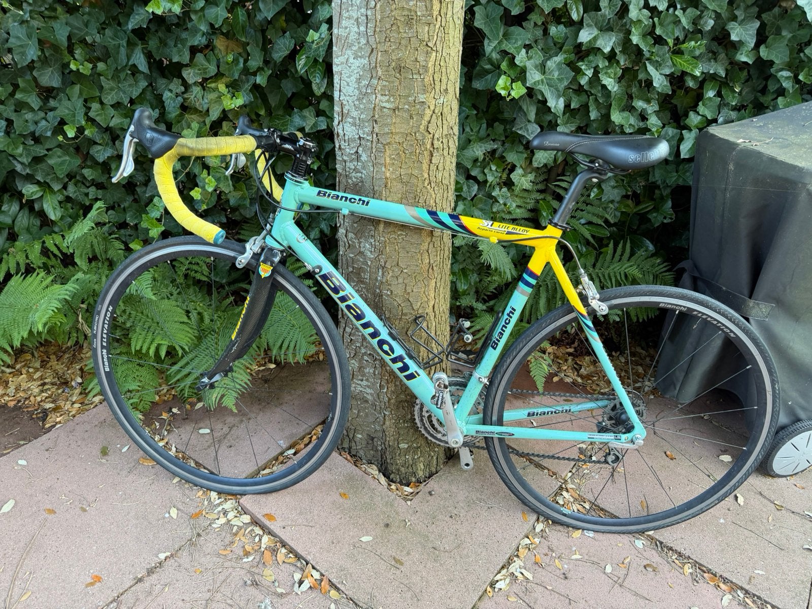 Bianchi Reparto Corse SL Lite Alloy 54cm Carbon | Campagnolo, Overige merken, Gebruikt, Velgrem, Aluminium