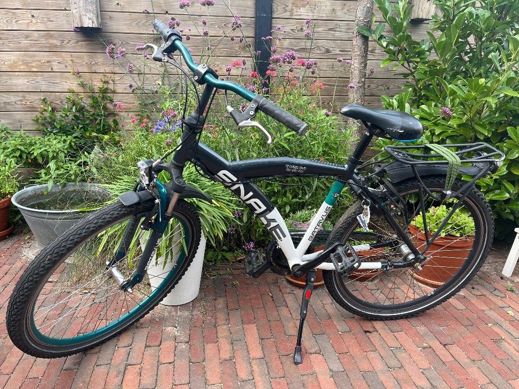 Batavus Snake 26 inch, Terugtraprem, Gebruikt, Batavus, Handrem