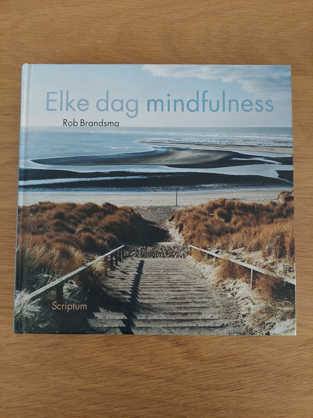 Elke dag mindfulness, Rob Brandsma, Boeken, Ophalen of Verzenden, Zo goed als nieuw, Overige onderwerpen, Overige typen