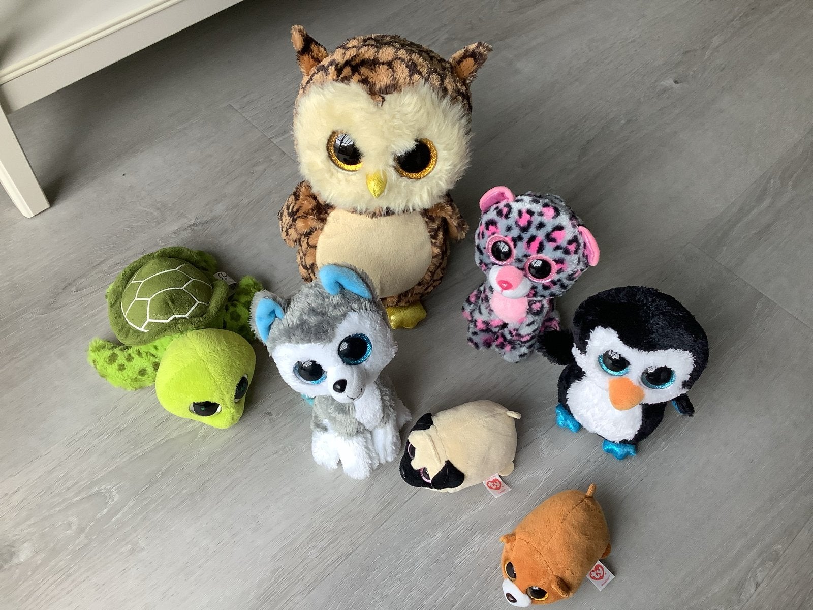 Leuke Ty Beanie Boos knuffels - Uil, schildpad, husky, luipa, Gebruikt, Overige karakters, Ophalen of Verzenden, Klein (minder dan 20 cm)