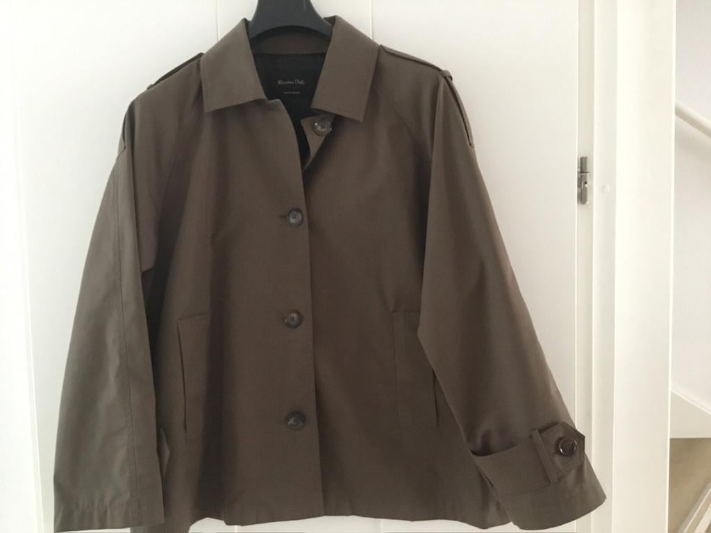 Nieuwstaat jasje maat L, Massimo Dutti, Ophalen of Verzenden, Zo goed als nieuw, Maat 42/44 (L), Overige kleuren