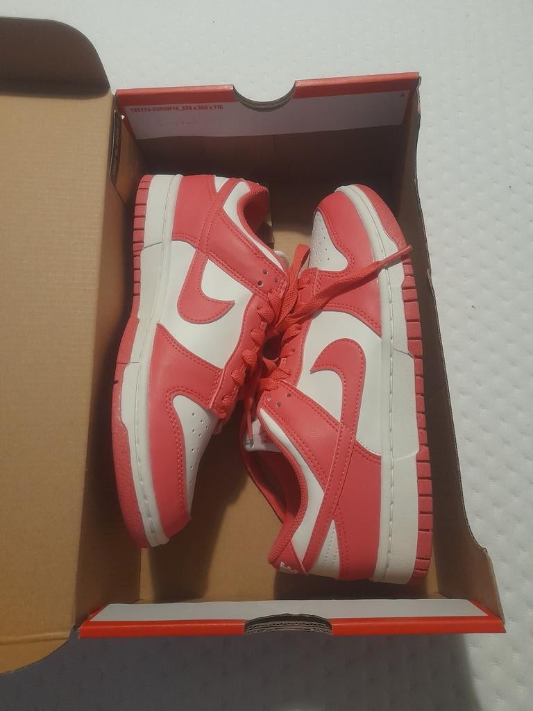 nike dunk low aster pink maat 39, Ophalen of Verzenden, Nieuw, Roze, Sneakers of Gympen