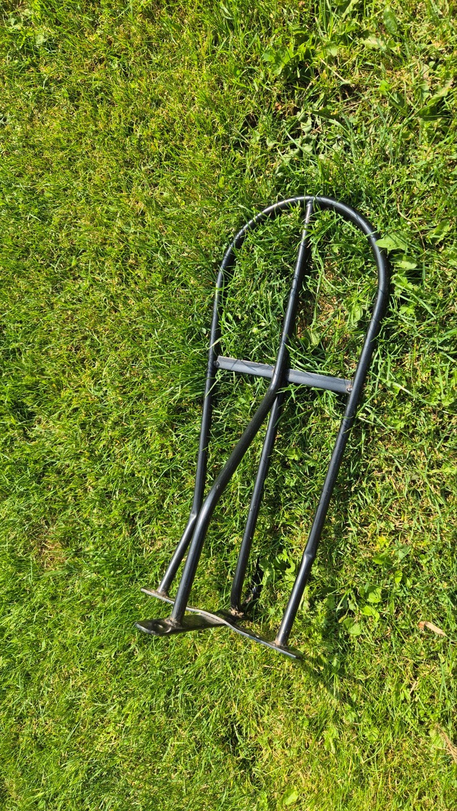 zadeldrager, Dieren en Toebehoren, Ophalen of Verzenden