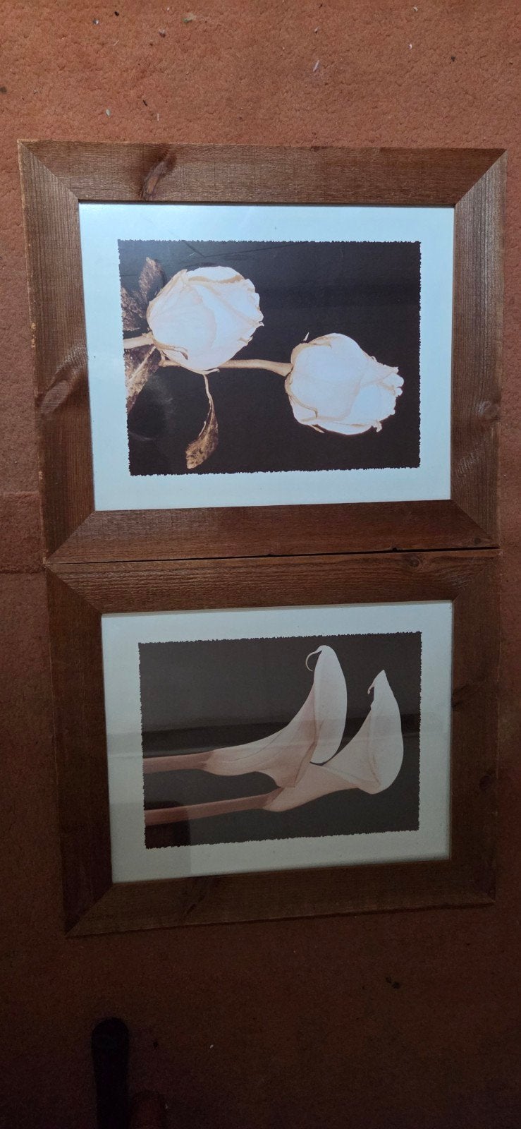 2 schilderijen met bloem 60x50, Bruin, Overige typen, Ophalen of Verzenden, Zo goed als nieuw