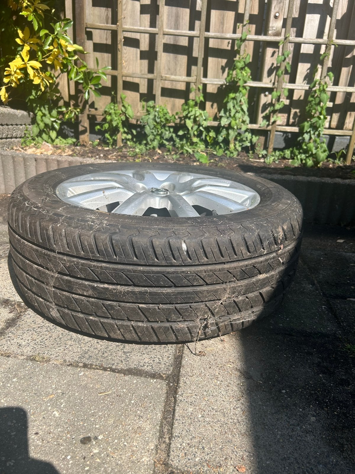 Opel Velg met Tyfoon All Season band 205/55 R16, Auto-onderdelen, Banden en Velgen, Ophalen, Gebruikt, 16 inch, Banden en Velgen