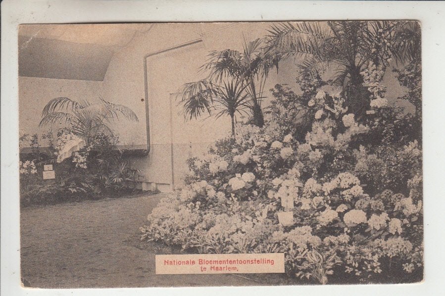 Haarlem, Nationale Bloemententoonstelling, Ophalen of Verzenden, Voor 1920, Gelopen, Noord-Holland