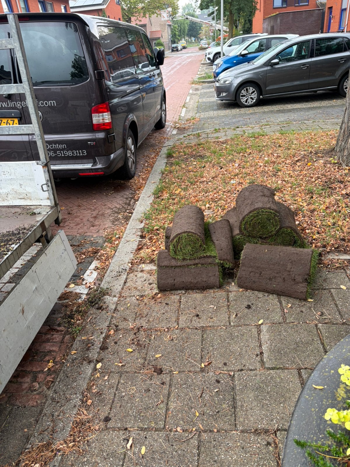 Sedum matten en gras matten mooie bodem bedekking in uw tuin, Ophalen of Verzenden, Volle zon