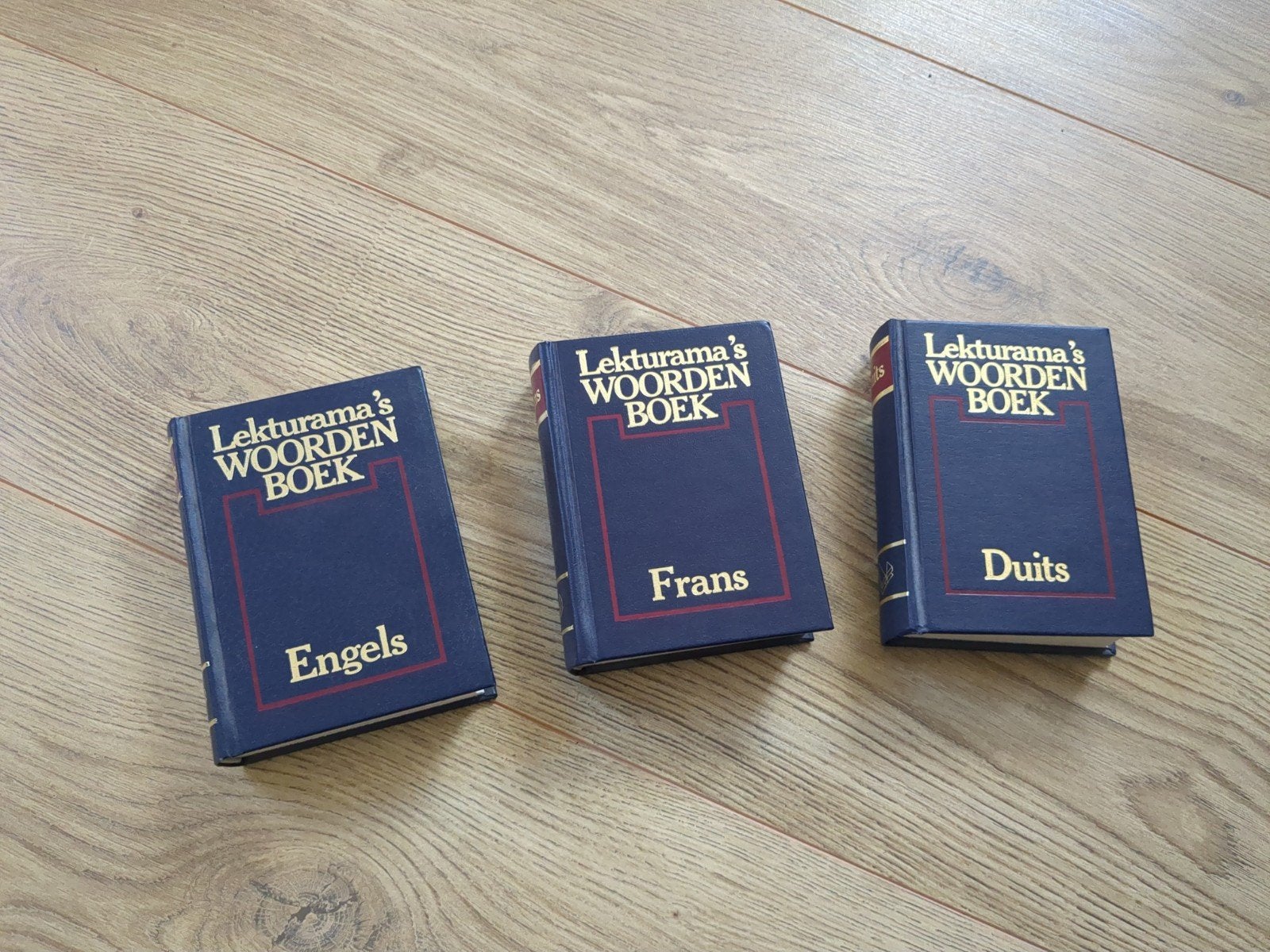 Lekturama's Woordenboek: Engels, Frans, Duits (set van 3), Boeken, Onbekend, Overige uitgevers, Ophalen of Verzenden, Zo goed als nieuw