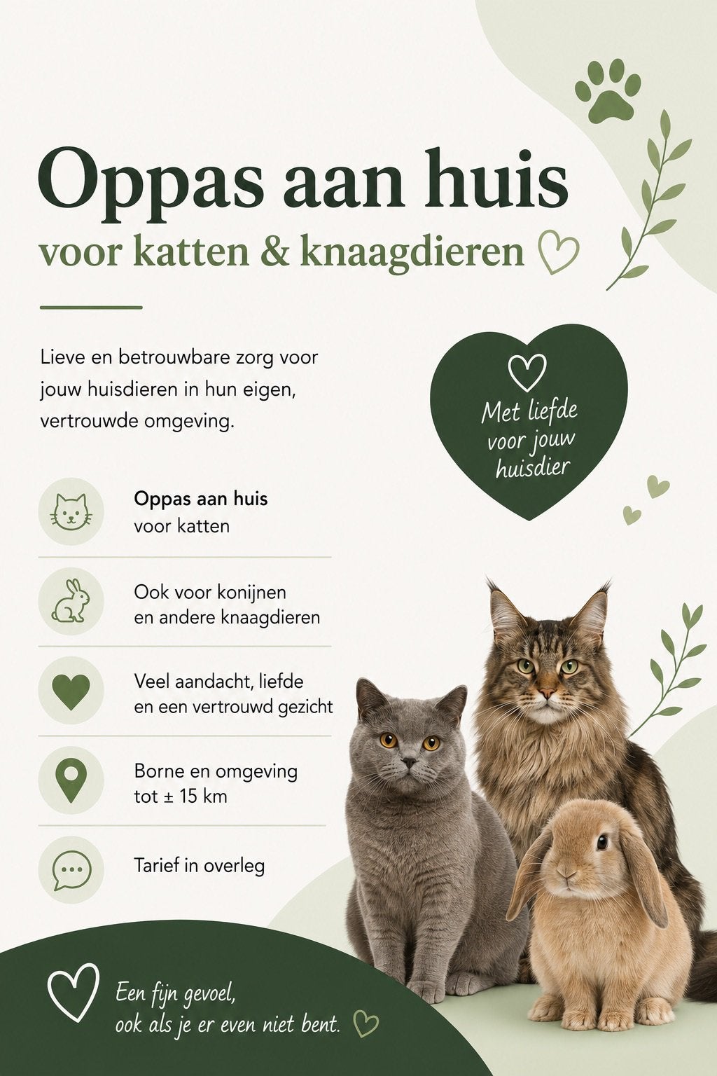 Kattenoppas (& knaagdierenoppas) Borne en omgeving, Ophalen, Nieuw, Katten