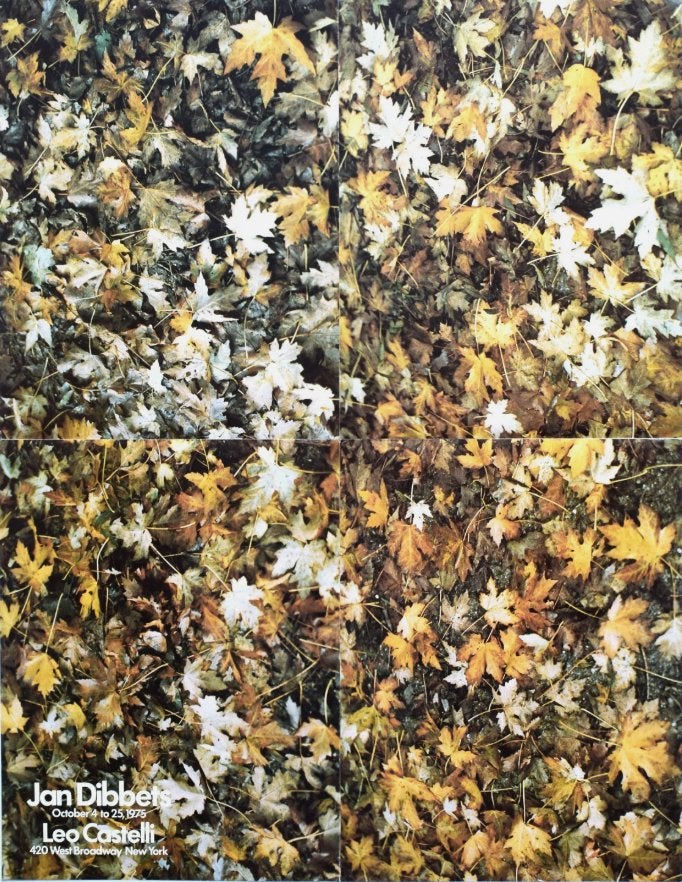 Jan Dibbets Kleurenoffsetlithografie: at Leo Castelli 1975, Ophalen of Verzenden, A1 t/m A3, Film en Tv