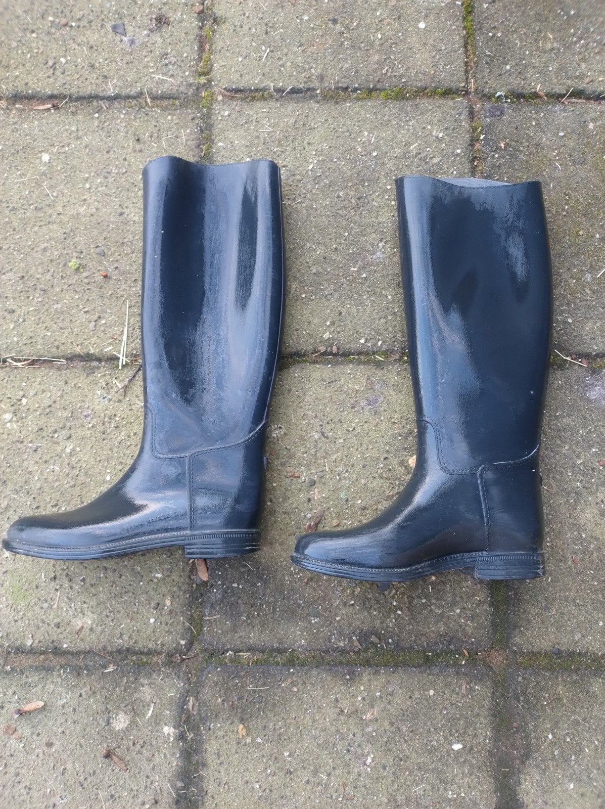 Paardrijlaarzen  maat 36, Ophalen of Verzenden, Dressuur, Schoeisel