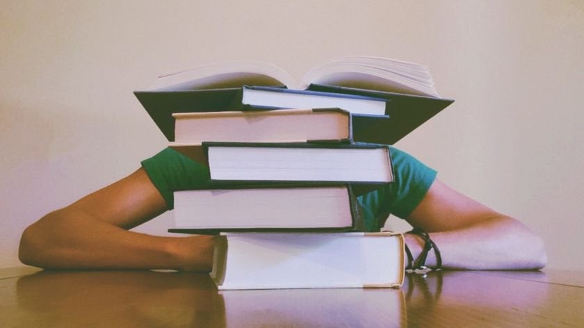Scriptie & verslaghulp (online) | Persoonlijke begeleiding.