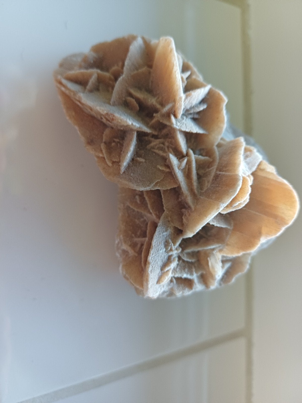 Prachtige Woestijnroos - Uniek Mineraal Exemplaar, Verzamelen, Ophalen, Mineraal