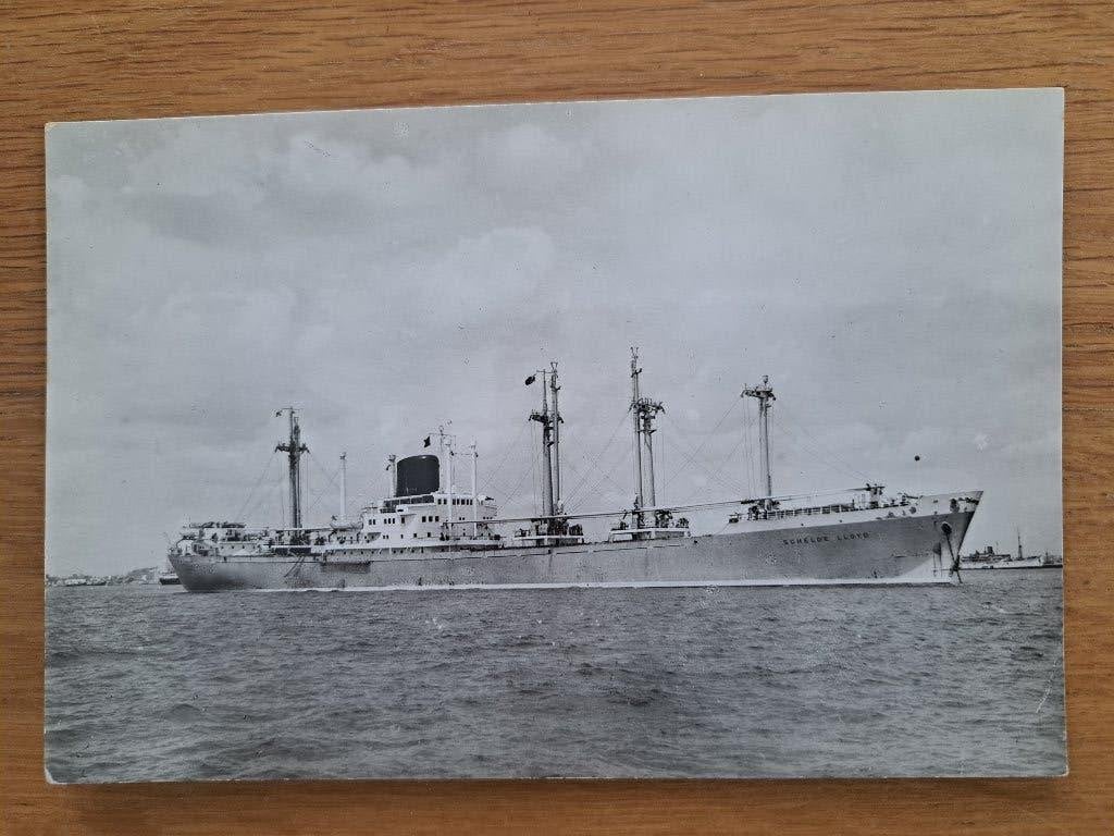 Rotterdamsche LLoyd MS Schelde foto / fotokaart, Verzamelen, Scheepvaart, Ophalen of Verzenden, Zo goed als nieuw, Motorboot, Kaart, Foto of Prent