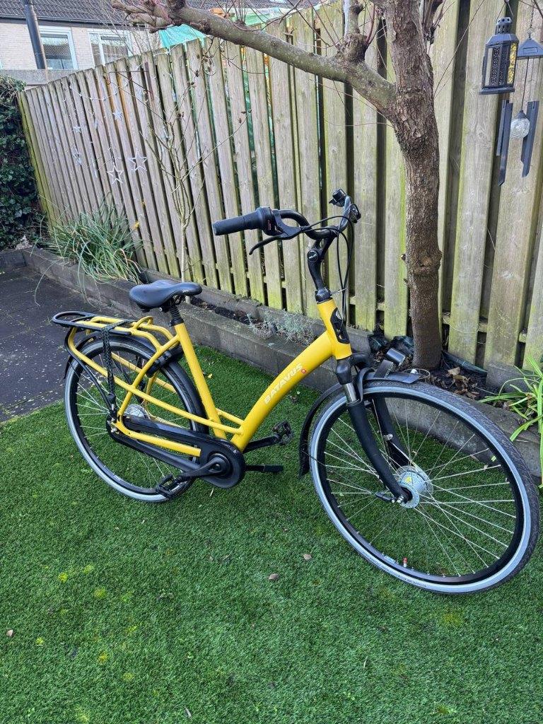 Zo goed als nieuwe Batavus Mambo Damesfiets (2021) - 53cm, Fietsen en Brommers, Fietsen | Dames | Damesfietsen, Ophalen, 53 tot 56 cm