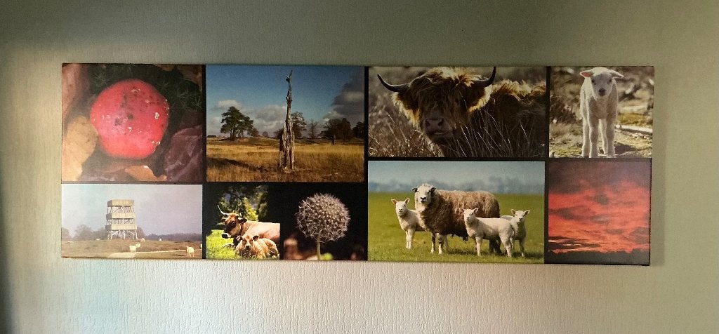 Wandversiering 150 x 50 cm Drents Friese Wold, Ophalen, Zo goed als nieuw