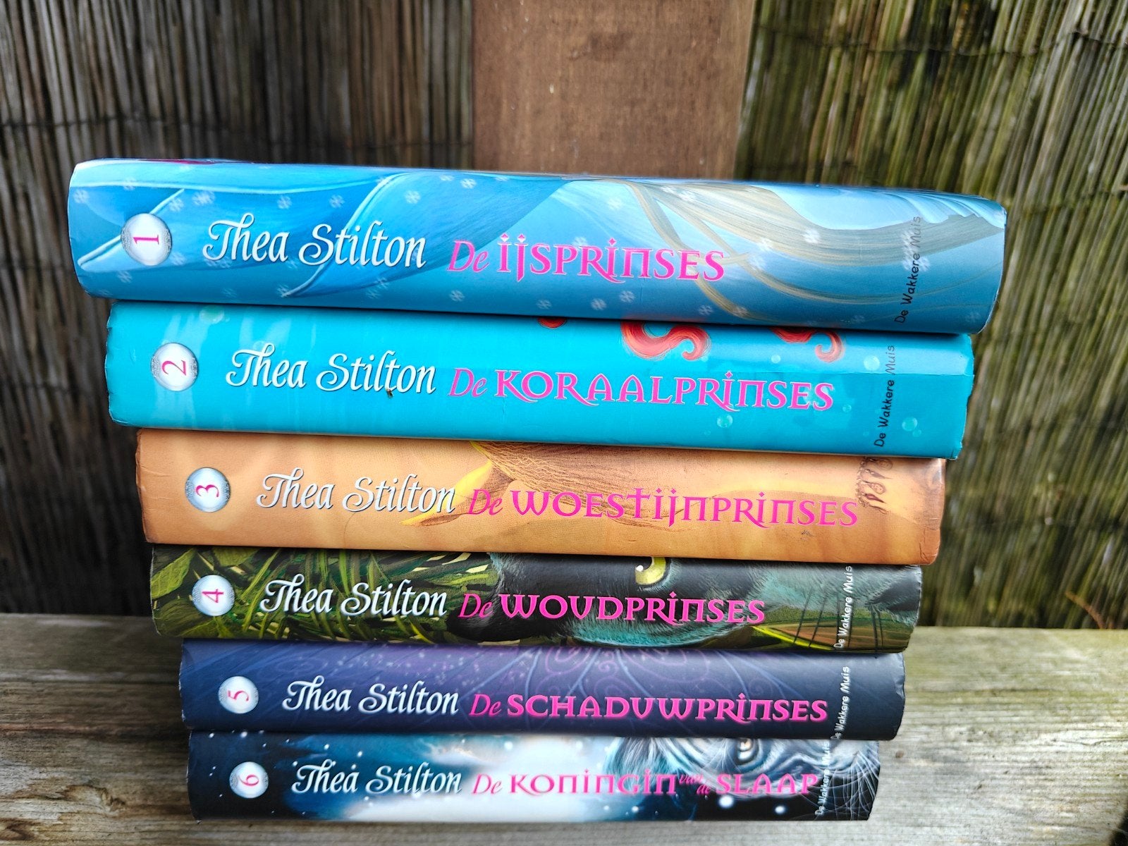 6 Boeken van de serie: De prinsessen van Fantasia., Ophalen of Verzenden, Zo goed als nieuw