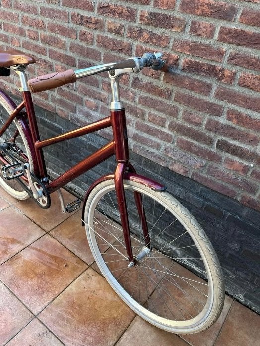 Stijlvolle en hippe damesfiets, 53 tot 56 cm, Velgrem, Zo goed als nieuw, Ophalen