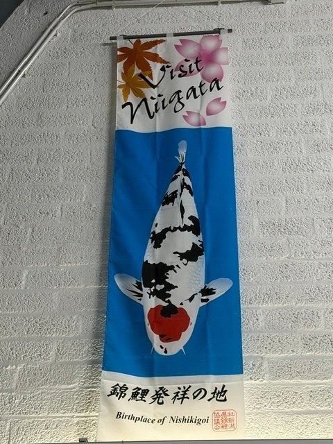 6 koi vlaggen japan niigata, Ophalen, Gebruikt, Overige typen