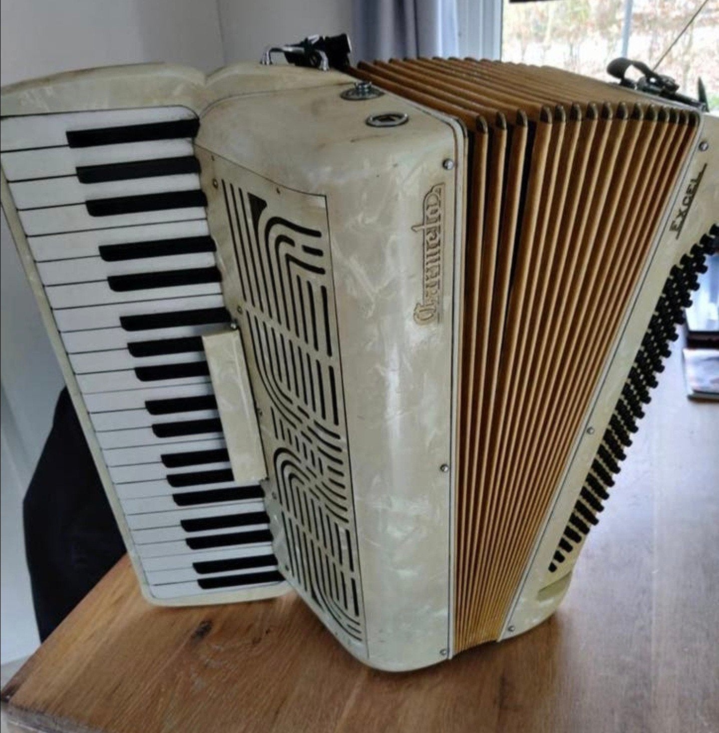 Cameleo excel arccordion, Muziek en Instrumenten, Accordeons, Ophalen, 120-bas, Overige merken