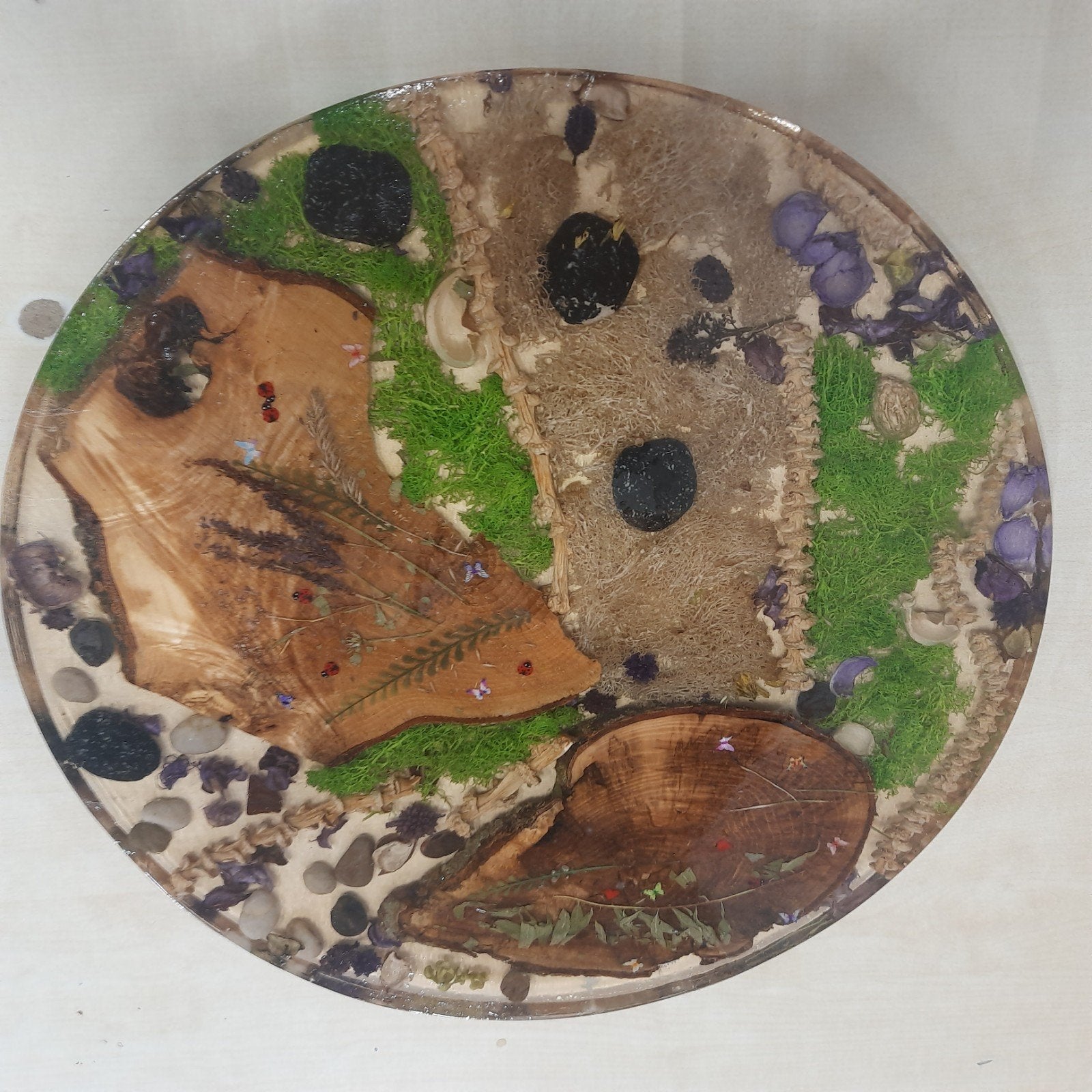 Unieke handgemaakte boomstam natuur epoxy schijf, Meerkleurig, Overige stijlen, Kunststof, Ophalen of Verzenden