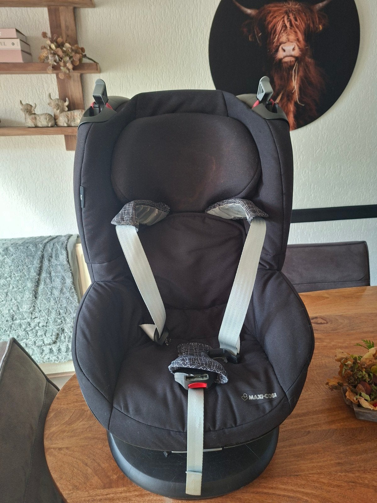 Maxi-Cosi Tobi autostoel - Gebruikt, Ophalen, 9 t/m 18 kg, Maxi-Cosi, Gebruikt