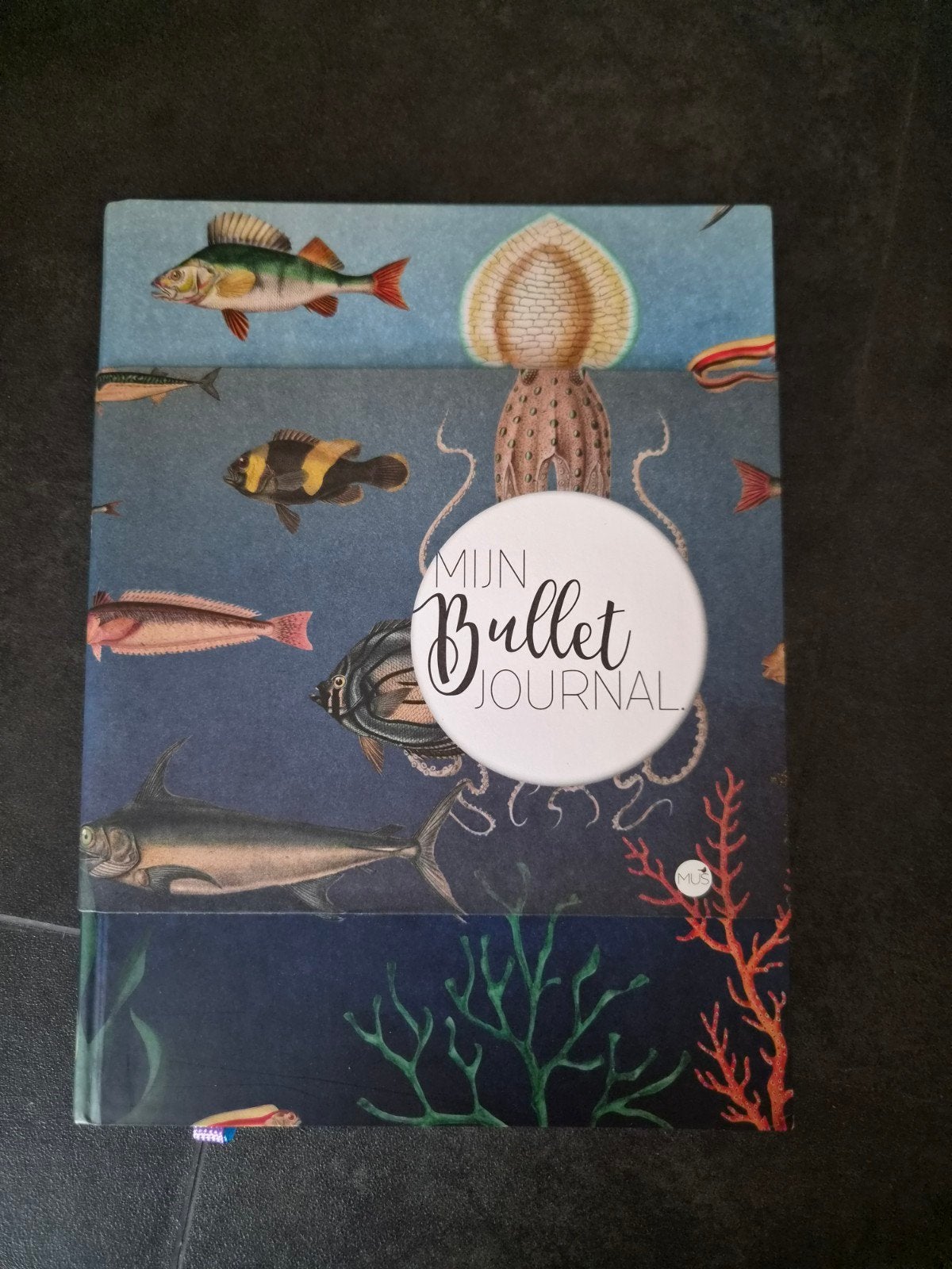 Nieuw - Mijn BULLET Journal -, Ophalen of Verzenden, Nieuw