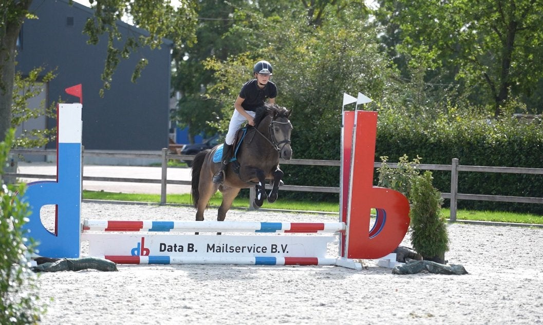 Super lieve valk d pony, Dieren en Toebehoren, Ruin, Springpony, 3 tot 6 jaar, D pony (1.37m tot 1.48m)