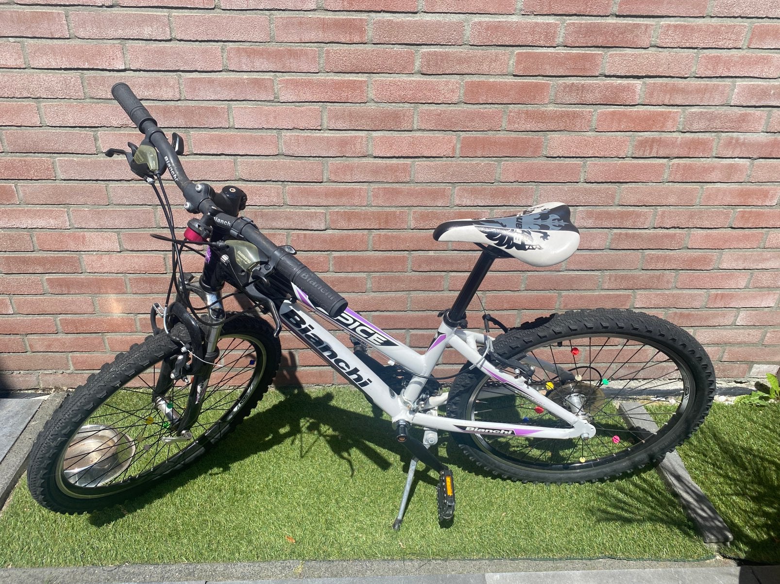Bianchi, Ophalen, Gebruikt, Small