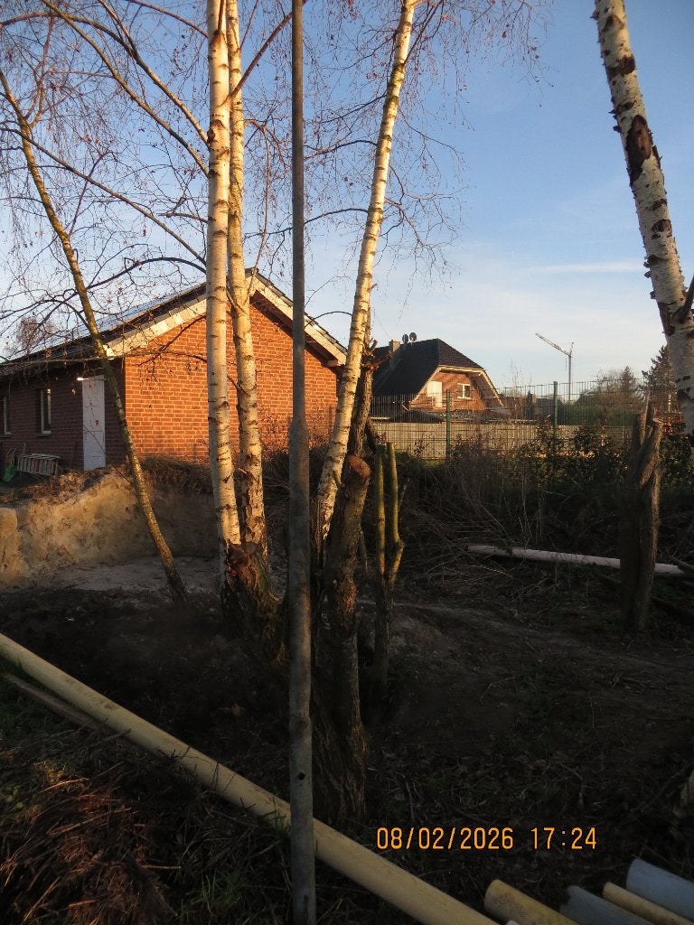 Gegalvaniseerde flespalen voor afrastering, Ophalen, Gebruikt, 250 cm of meer, Palen
