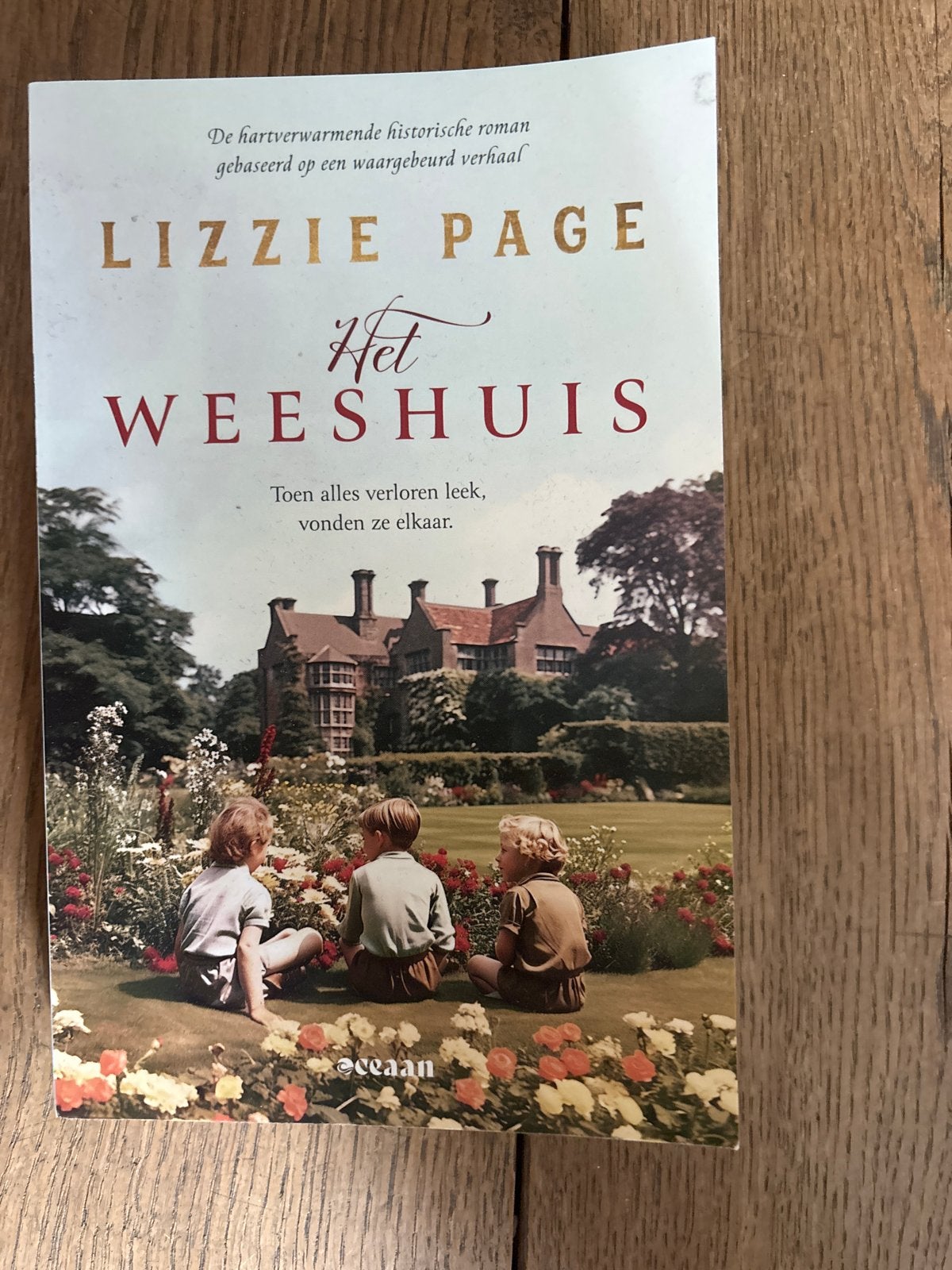 Lizzie Page - Het Weeshuis - Roman - In goede staat, Boeken, Ophalen of Verzenden, Gelezen