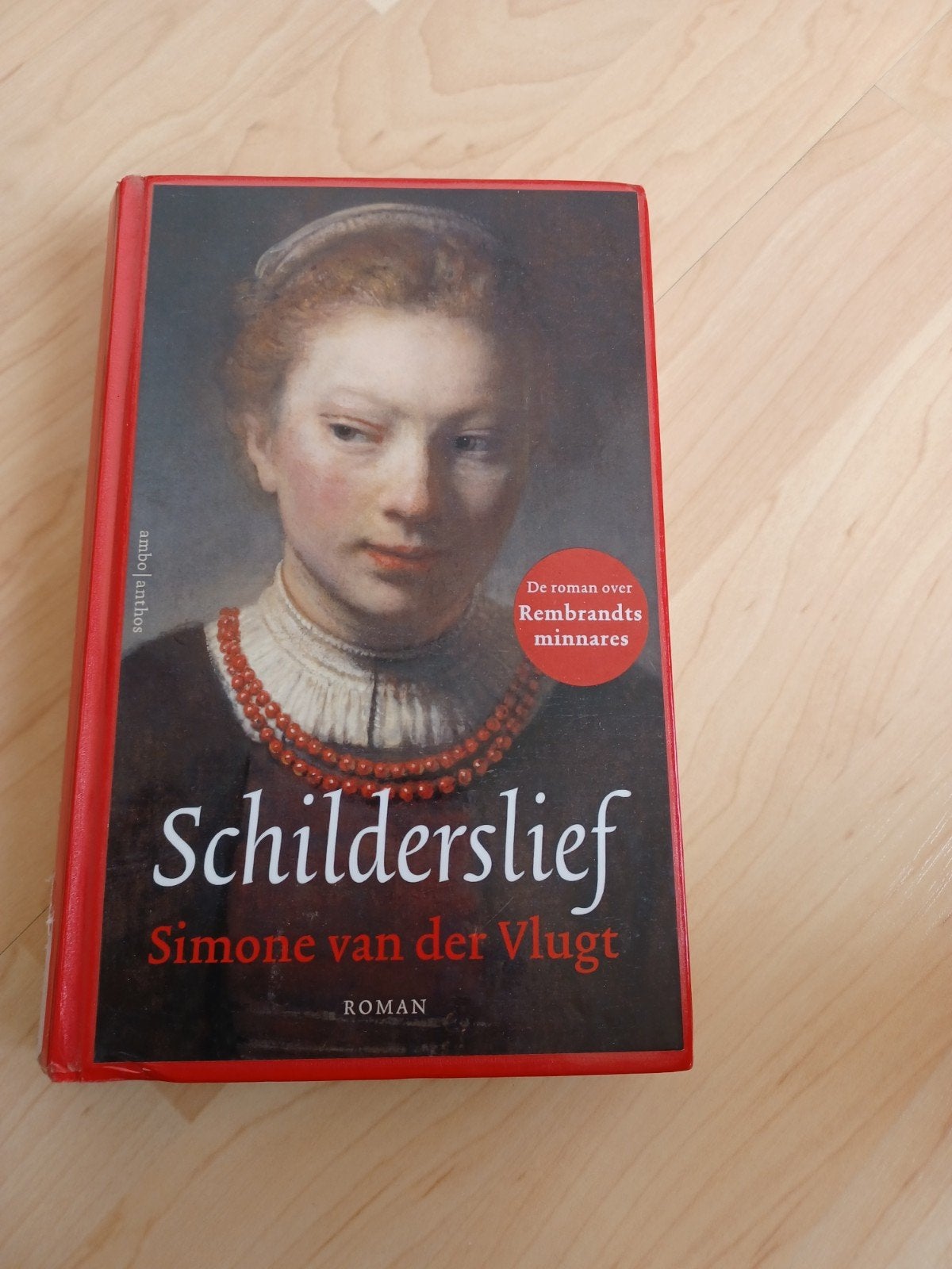 Schilderslief - Simone van der Vlugt (Roman), Ophalen of Verzenden, Zo goed als nieuw, Simone van der Vlugt, Nederland