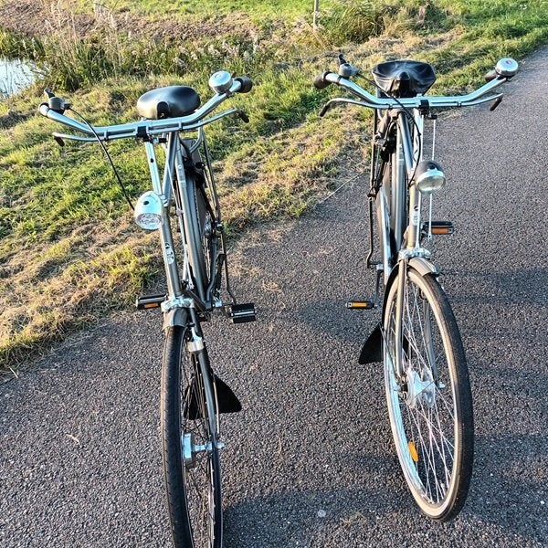 Gazelle tour populair  66cm 3v 2017  125 jaar gazelle, Ophalen, Gebruikt, Versnellingen, 65 cm of meer