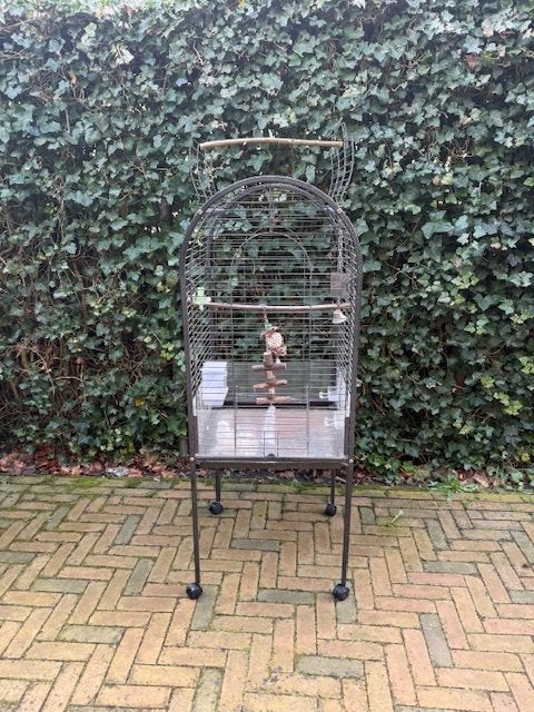 Kooi voor papegaai of valkparkiet. Vogelkooi, Ophalen, Gebruikt, Metaal, Vogelkooi